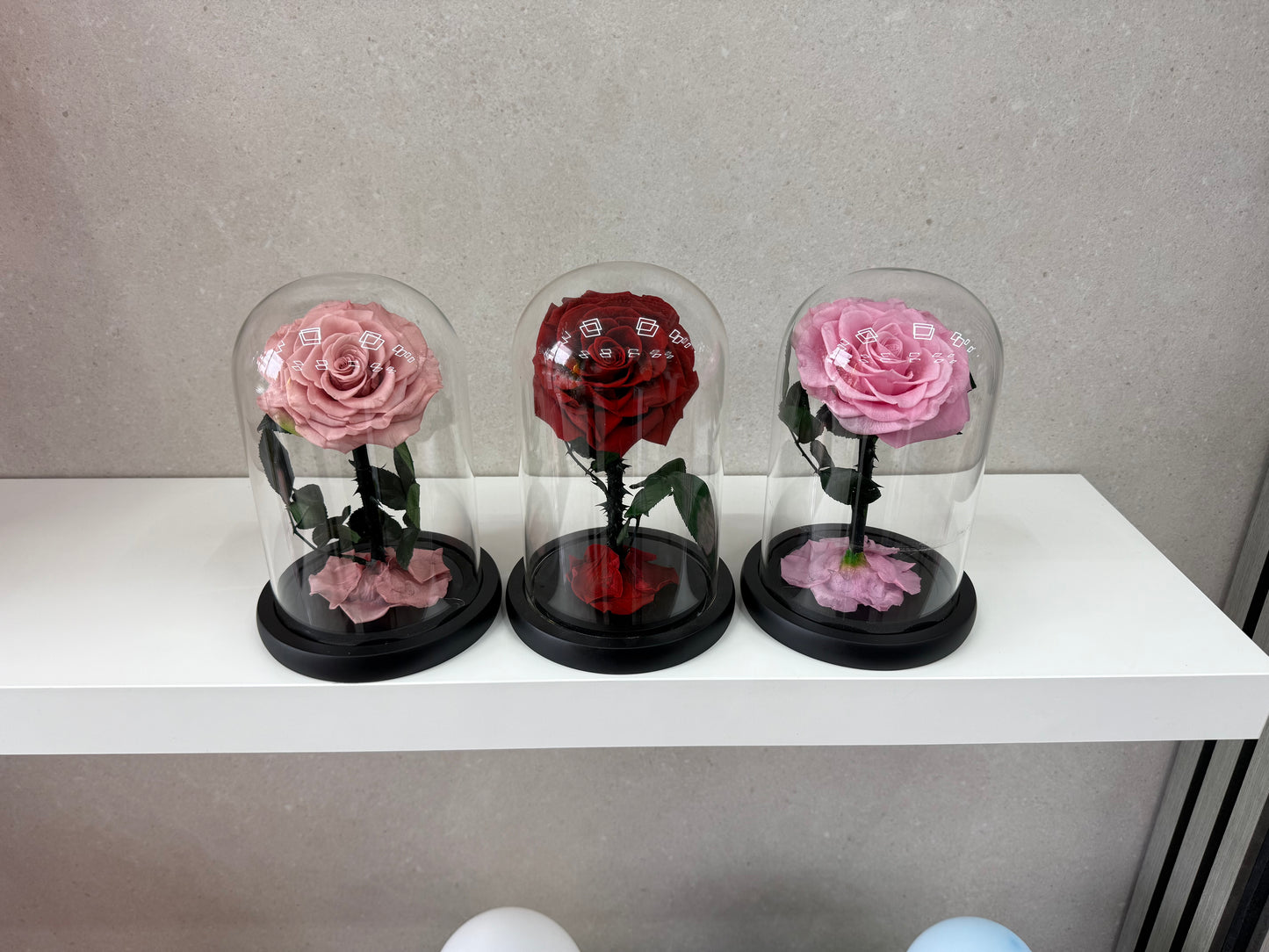 Red Eternal Dome (Copy)