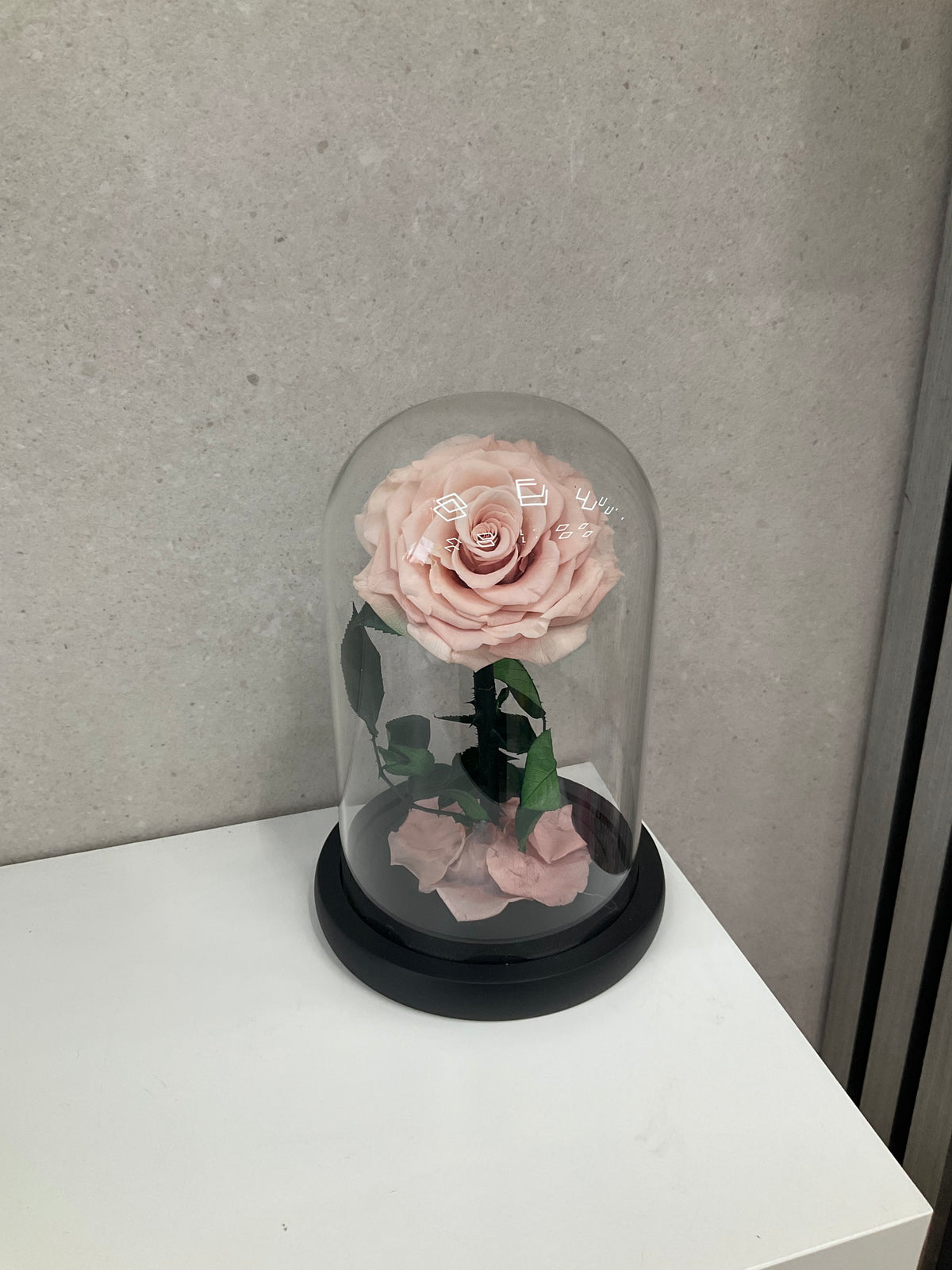 Dusty Pink Rose Eternal Dome