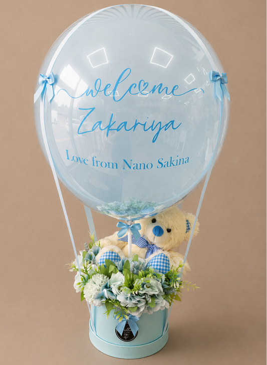 Welcome to the world baby boy with a Teddy