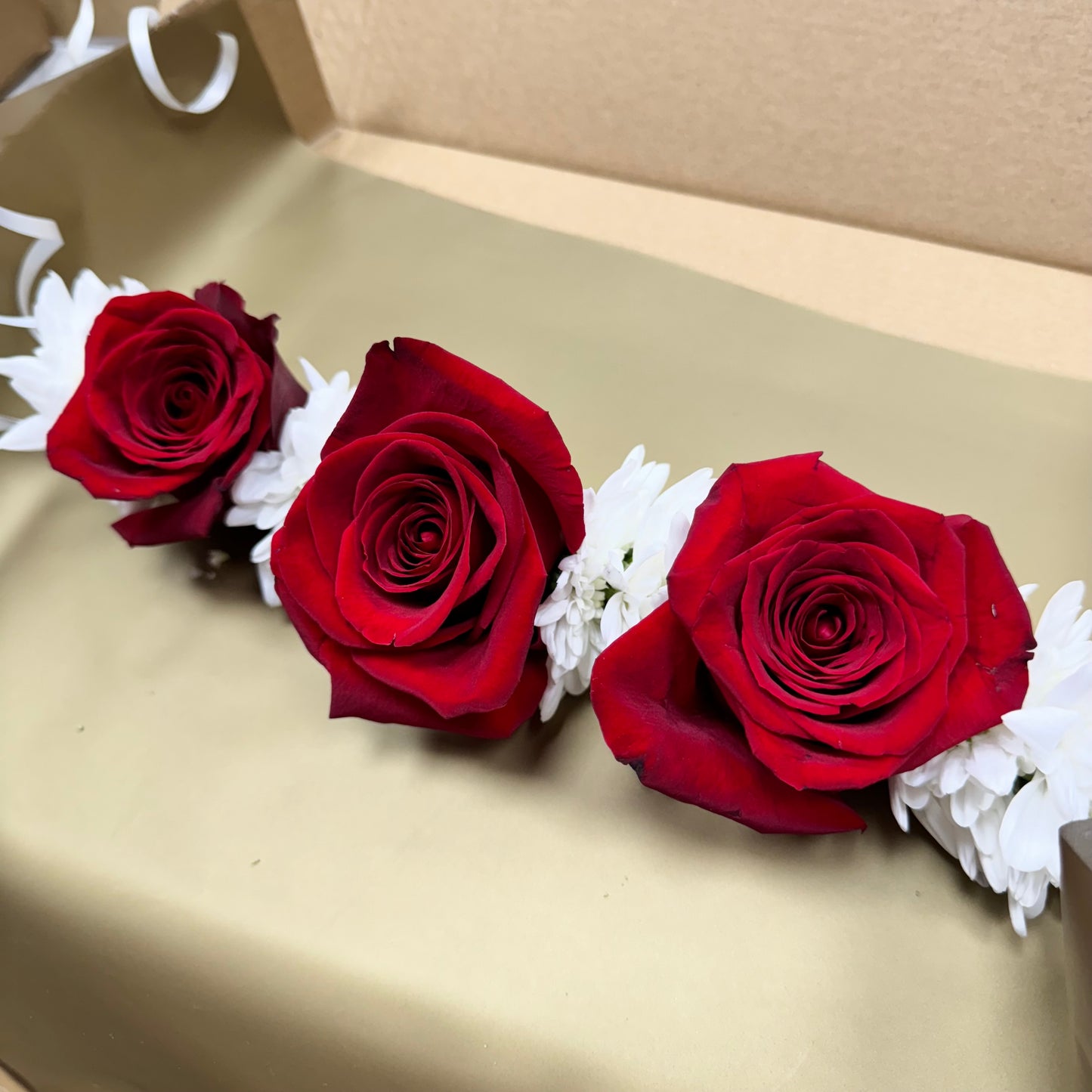 Red Rose Gajray set of 2