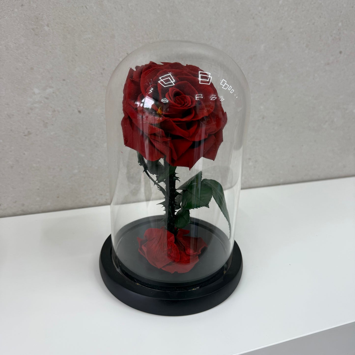 Red Eternal Dome (Copy)