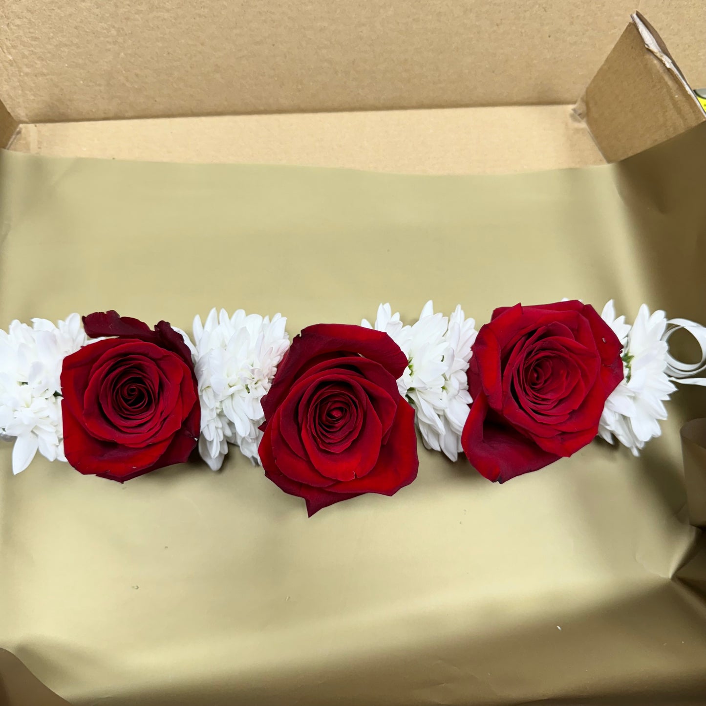 Red Rose Gajray set of 2