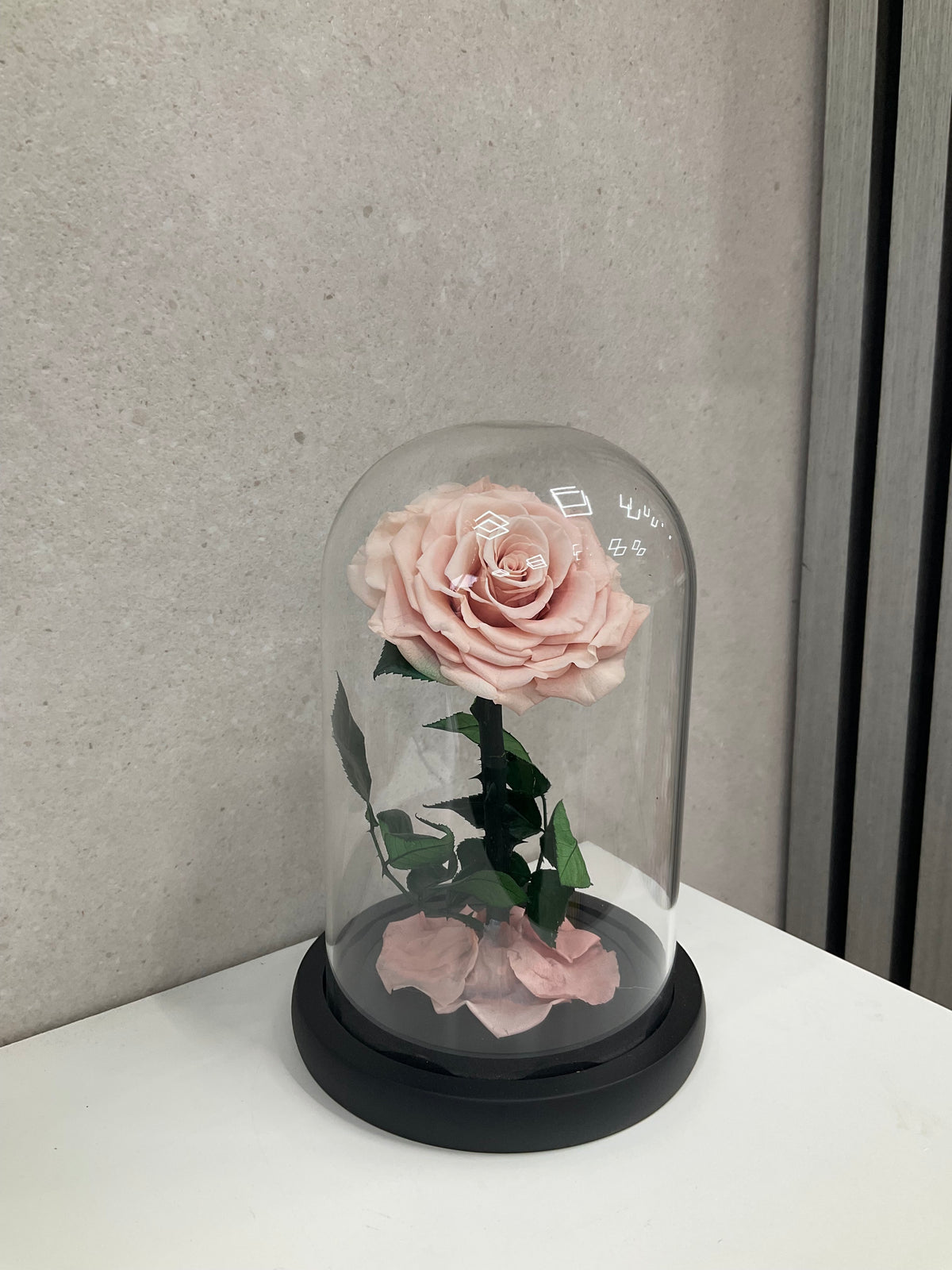Dusty Pink Rose Eternal Dome