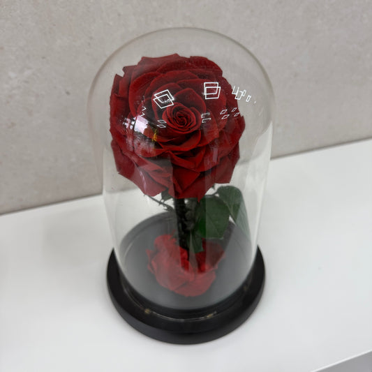 Red Eternal Dome (Copy)