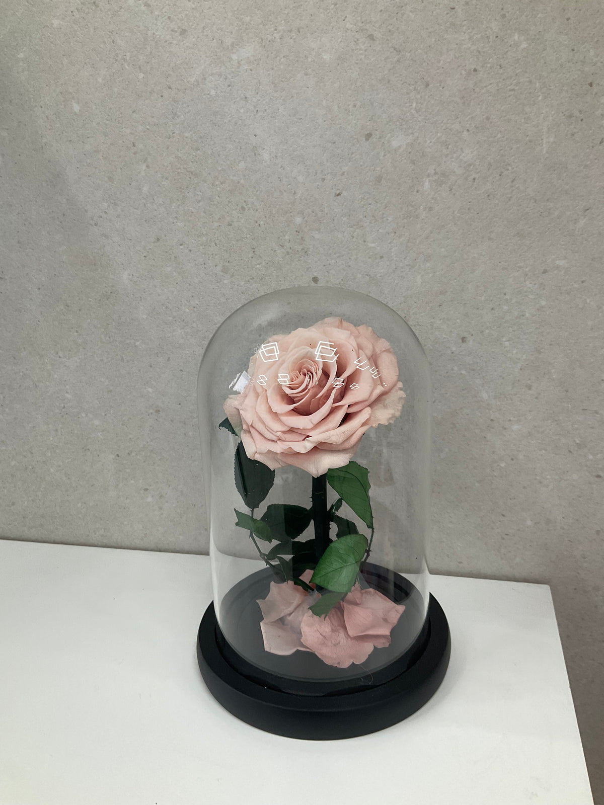 Dusty Pink Rose Eternal Dome