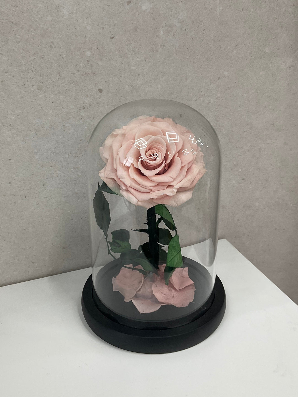 Dusty Pink Rose Eternal Dome