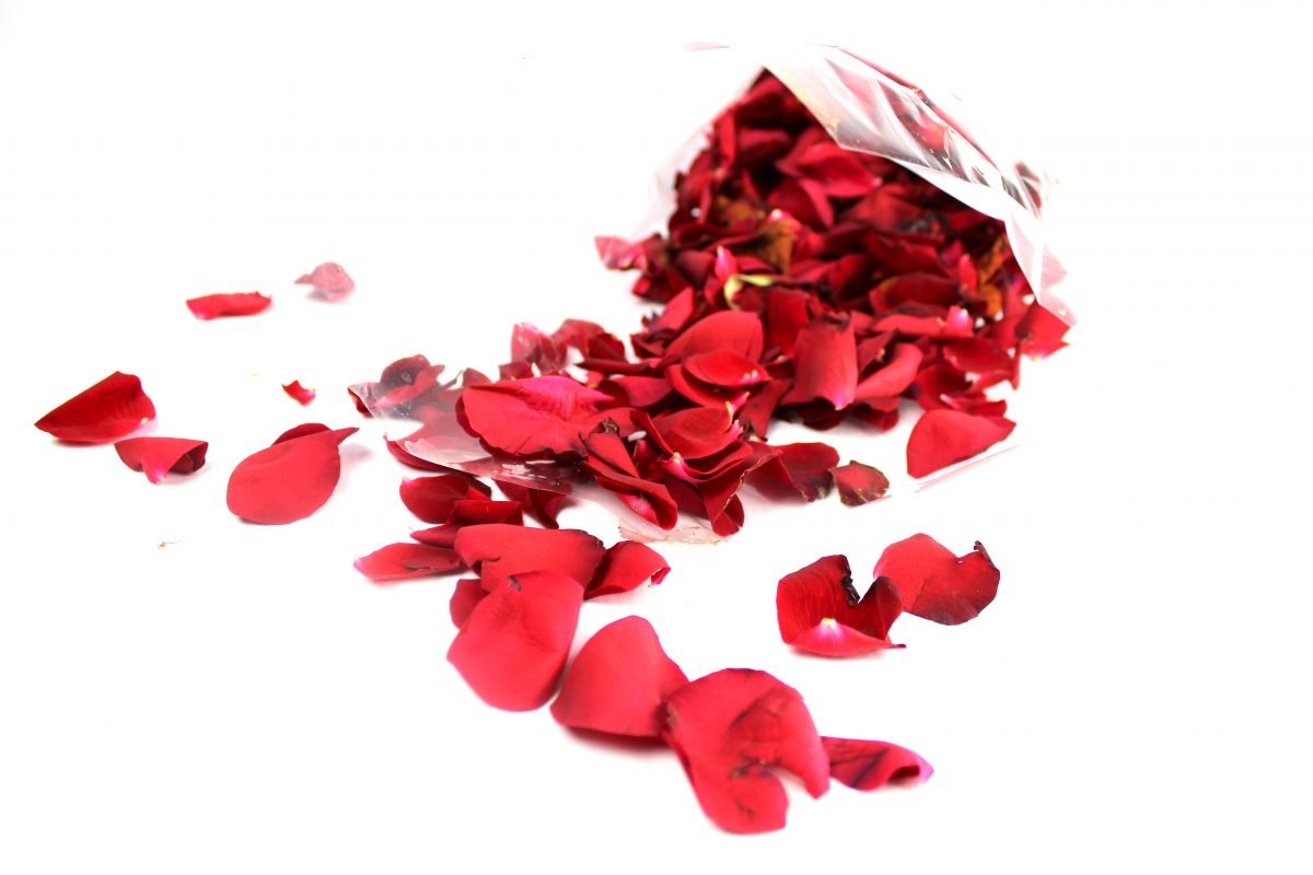 100 RED PETALS