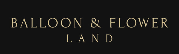 Balloon land uk ltd