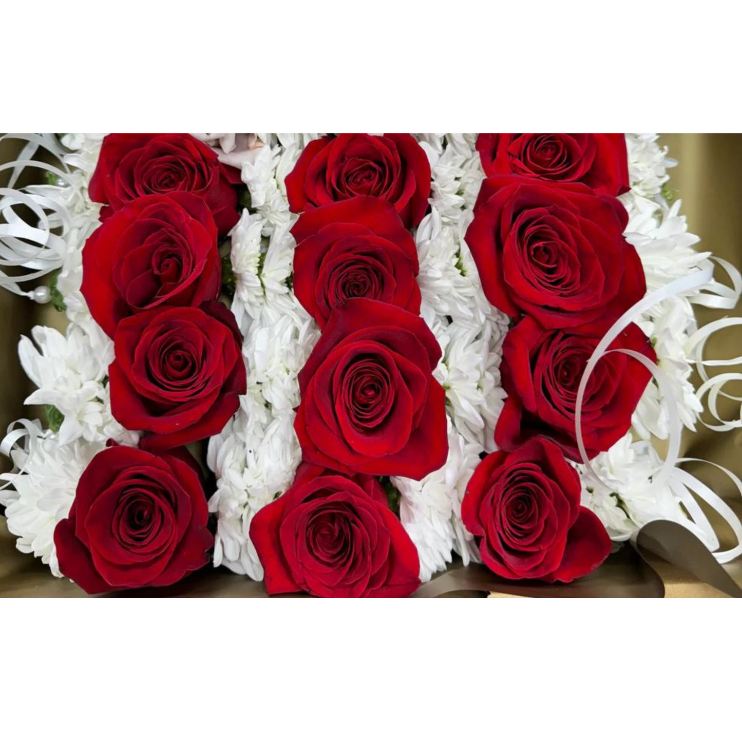 4 x Red rose Gajray